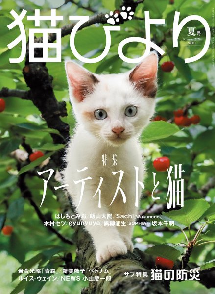 猫びよりの次号【vol.141 2026年夏号 (発売日2026年06月12日)】| 雑誌