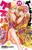 ヤンキーJKクズハナちゃん 29巻 表紙