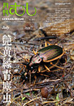 月刊むし 665の表紙