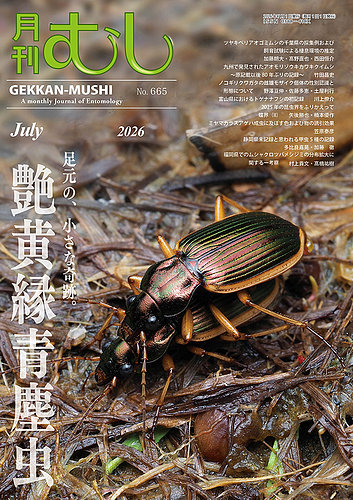 月刊むしの最新号【665 (発売日2026年06月25日)】| 雑誌/定期購読の