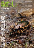 月刊むし 665 表紙