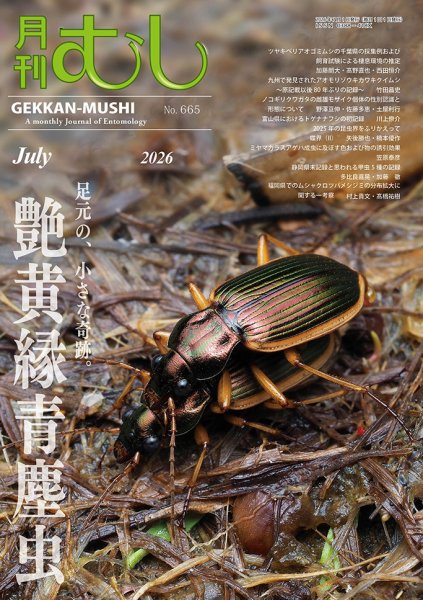 月刊むし 2026年06月25日発売号 表紙