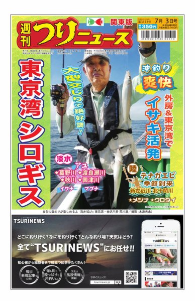 週刊つりニュース　関東版 2026年06月29日発売号 表紙