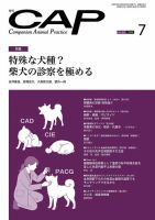 月刊CAP 表紙