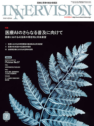 INNERVISION 2025年 1号〜12号 （7月号のみありません） INNERVISION（インナービジョン）の最新号【2026年7月号 (発売日2026年
