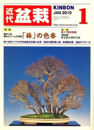月刊 近代盆栽 2009年12月04日発売号 表紙