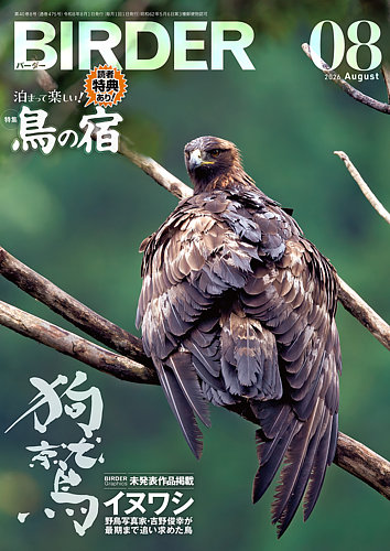 BIRDER（バーダー）の最新号【2026年8月号 (発売日2026年07月15日