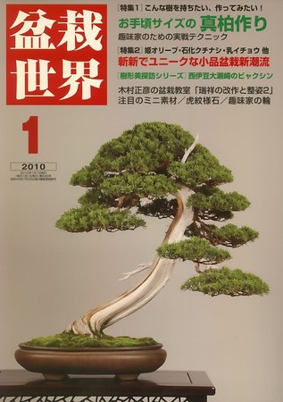 盆栽世界 1月号 (発売日2009年12月05日)