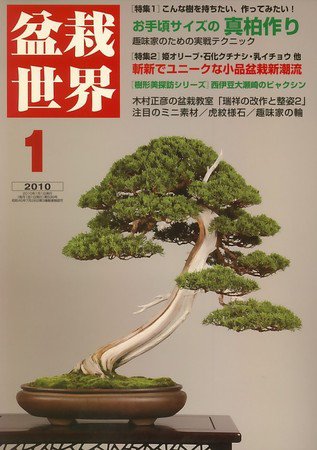 盆栽 さつき 菅原武志の眼 新木には夢がある さつき】唯一の大品盆栽 - YouTube