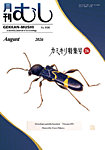 月刊むし 666の表紙