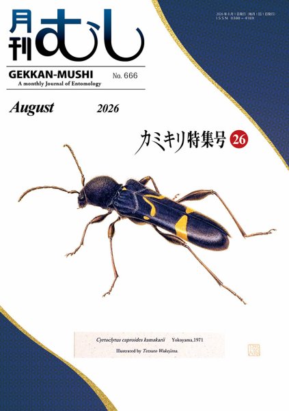 月刊むし 666 (発売日2026年07月24日) 表紙