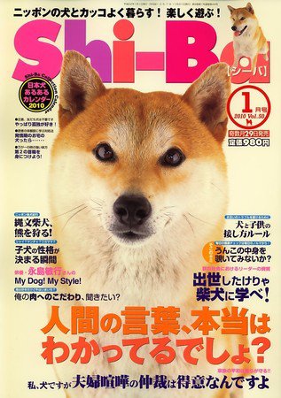 Shi-Ba(シーバ)　 1月号(Vol.50) (発売日2009年11月28日) 表紙