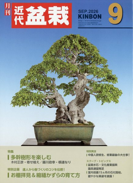 月刊 近代盆栽 2026年9月号 (発売日2026年08月04日) 表紙