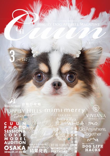 Cuun（クーン） 2026年3月号 (発売日2026年03月10日) 表紙