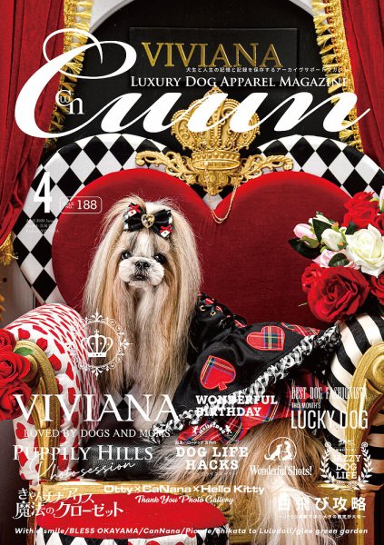 Cuun（クーン） 2026年4月号 (発売日2026年04月10日) 表紙