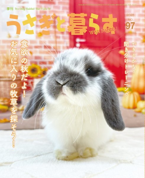 うさぎと暮らす 2025年10月号 (発売日2025年09月12日) 表紙