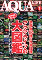 アクアライフ 1月号 表紙