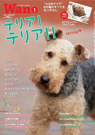 wan（わん） 2010年1月号 (発売日2009年12月14日) 表紙