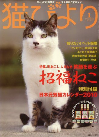 猫びより No.49 (発売日2009年12月12日) 表紙