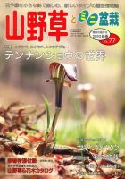 山野草とミニ盆栽 2009年12月12日発売号 表紙