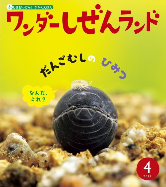 ワンダーしぜんランド 2026年4月号 (発売日2026年04月01日) 表紙