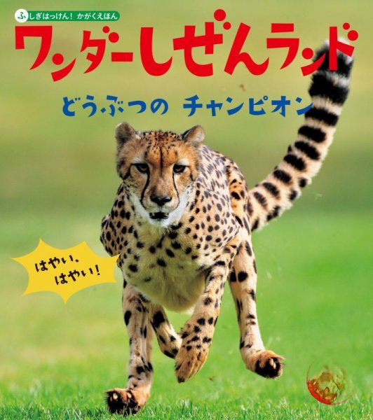 ワンダーしぜんランド｜特典つき定期購読 - 雑誌のFujisan
