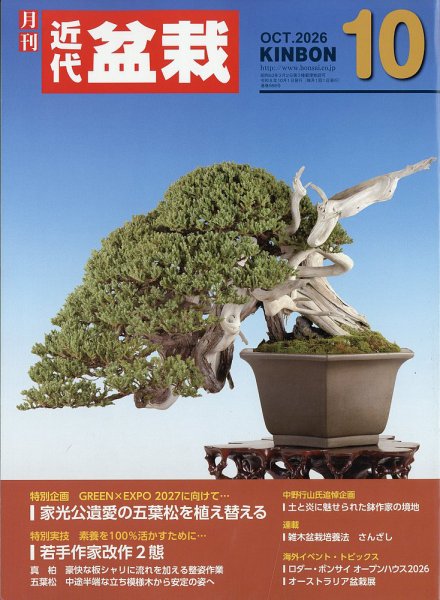 月刊 近代盆栽 2026年10月号 (発売日2026年09月04日) 表紙