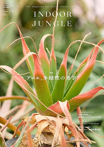 INDOOR JUNGLE 02 2024 Spring インドアジャングル INDOOR JUNGLEの最新号【No.9 (発売日2026年03月17日)】| 雑誌/定期