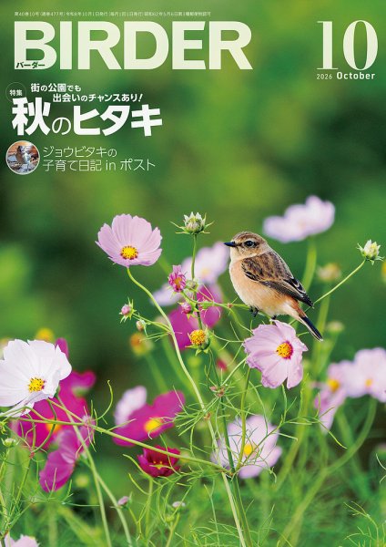BIRDER（バーダー） 2026年10月号 (発売日2026年09月16日) 表紙