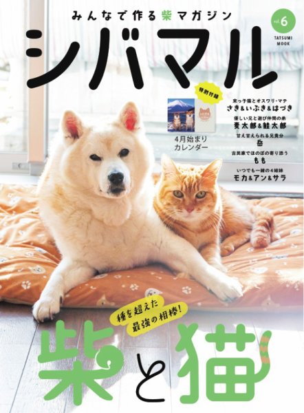 シバマル vol.6 (発売日2026年03月31日) 表紙