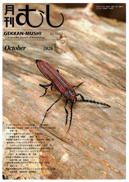 月刊むし 668 (発売日2026年09月18日) 表紙