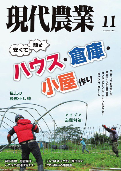 現代農業 2026年11月号 (発売日2026年10月05日) 表紙