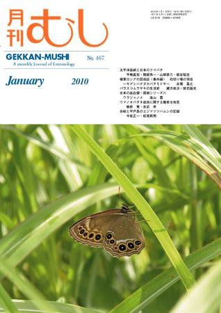 月刊むし 467 (発売日2009年12月20日) 表紙
