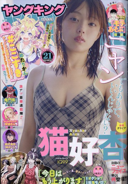 ヤングキング 2026年11/1号 (発売日2026年10月09日) 表紙