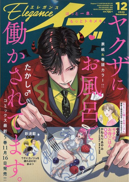 Eleganceイブ (エレガンスイブ) 2026年12月号 (発売日2026年10月26日) 表紙