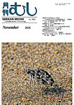 月刊むし 669の表紙