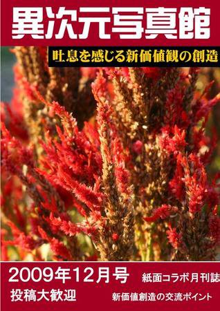 異次元写真館 vol.6 (発売日2009年11月27日) 表紙
