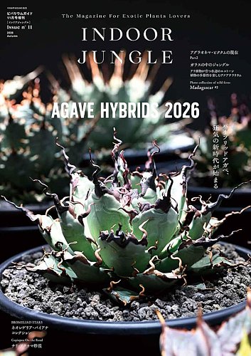 INDOOR JUNGLEの最新号【No.11 (発売日2026年09月29日)】| 雑誌/定期