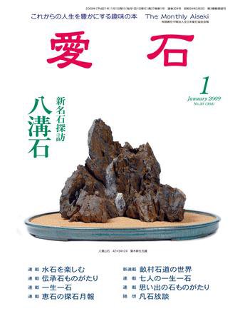 愛石 1月号 (発売日2008年12月15日) 表紙