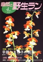 園芸Japan 4月号 表紙