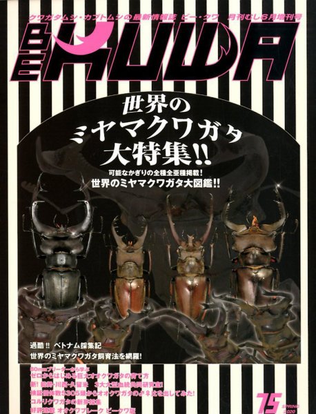 BE-KUWA（ビークワ） 35 (発売日2010年04月20日) 表紙