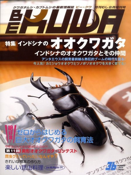 BE-KUWA（ビークワ） 36 (発売日2010年07月13日) 表紙