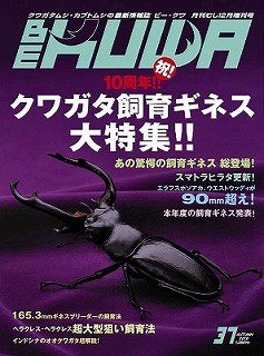 BE-KUWA（ビークワ） 37 (発売日2010年10月19日) 表紙