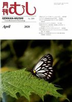 月刊むし 470 表紙