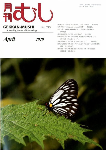 月刊むし 470 (発売日2010年03月23日) 表紙