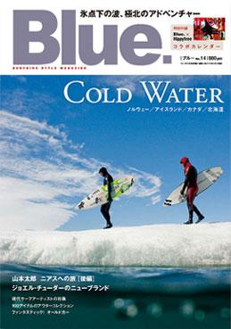 サーフボード フィン ポスター アート 額装セット Blue 付録 特大ポスター サーフボード フィン ポスター アート 額装セット Blue 付録