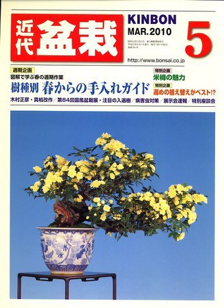 月刊 近代盆栽 2010年04月03日発売号 表紙