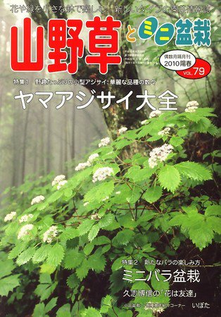 山野草とミニ盆栽 2010年04月12日発売号 表紙