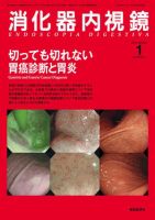 消化器内視鏡 10年1月号 (発売日2010年01月25日) 表紙