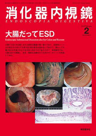 消化器内視鏡 10年2月号 (発売日2010年02月25日) 表紙